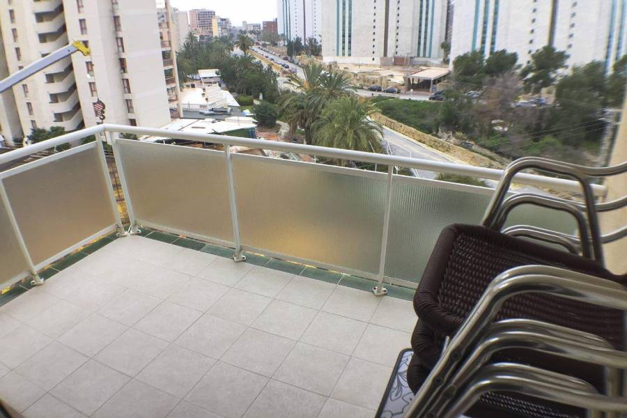 Benidorm,Alicante,España,1 Dormitorio Bedrooms,1 BañoBathrooms,Apartamentos,39588