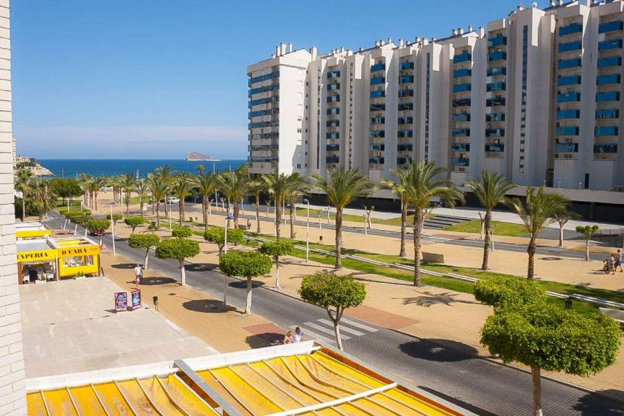 Benidorm,Alicante,España,1 Dormitorio Bedrooms,1 BañoBathrooms,Apartamentos,39609