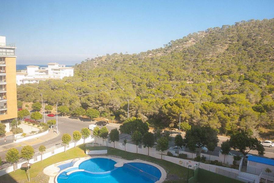 Benidorm,Alicante,España,1 Dormitorio Bedrooms,1 BañoBathrooms,Apartamentos,39610