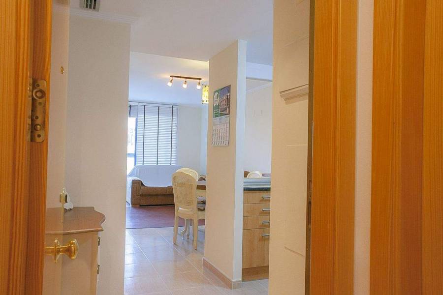 Benidorm,Alicante,España,1 Dormitorio Bedrooms,1 BañoBathrooms,Apartamentos,39610