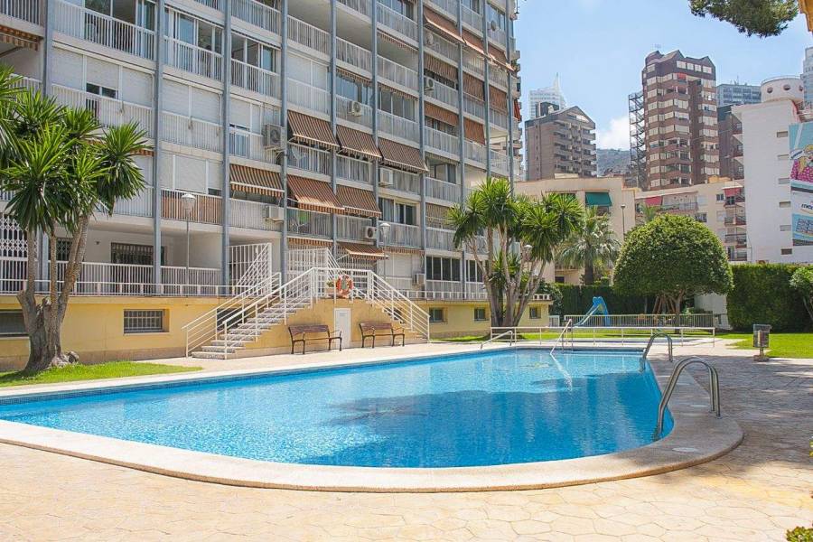Benidorm,Alicante,España,1 Dormitorio Bedrooms,1 BañoBathrooms,Apartamentos,39616