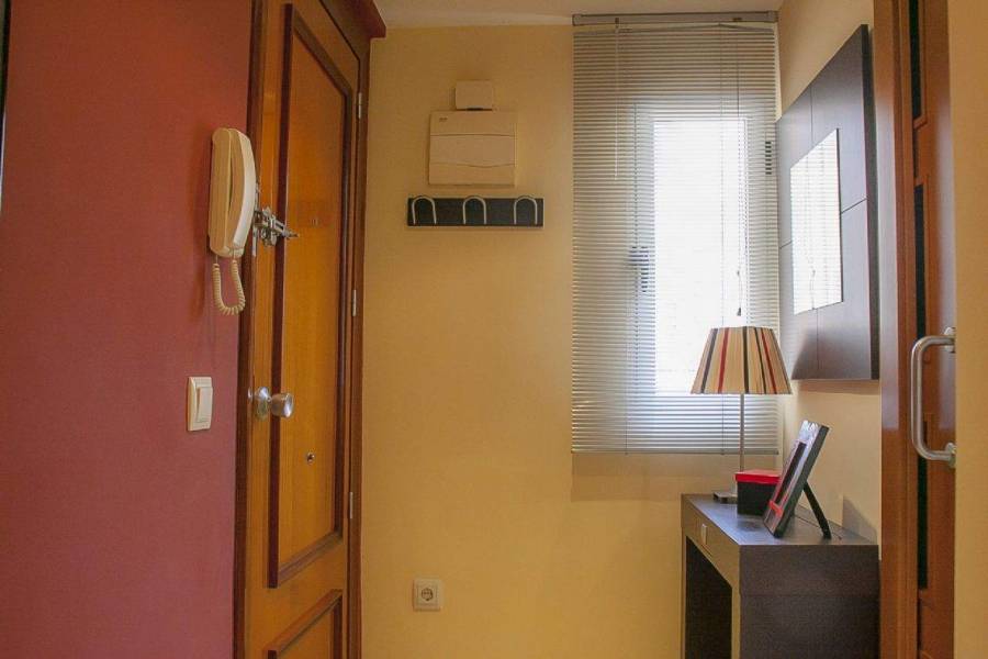 Benidorm,Alicante,España,1 Dormitorio Bedrooms,1 BañoBathrooms,Apartamentos,39616