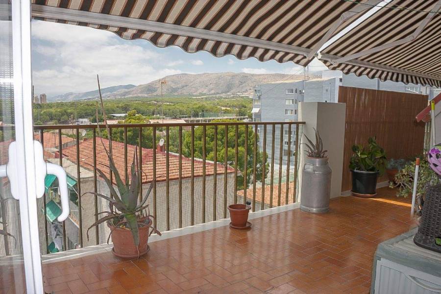 Benidorm,Alicante,España,2 Bedrooms Bedrooms,1 BañoBathrooms,Apartamentos,39622
