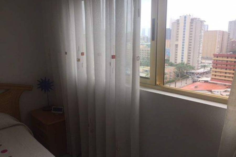 Benidorm,Alicante,España,2 Bedrooms Bedrooms,1 BañoBathrooms,Apartamentos,39653