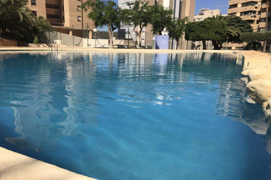 Benidorm,Alicante,España,1 Dormitorio Bedrooms,1 BañoBathrooms,Apartamentos,39685