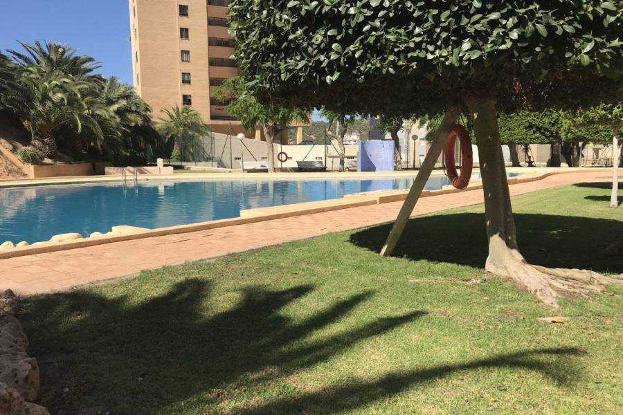Benidorm,Alicante,España,1 Dormitorio Bedrooms,1 BañoBathrooms,Apartamentos,39685