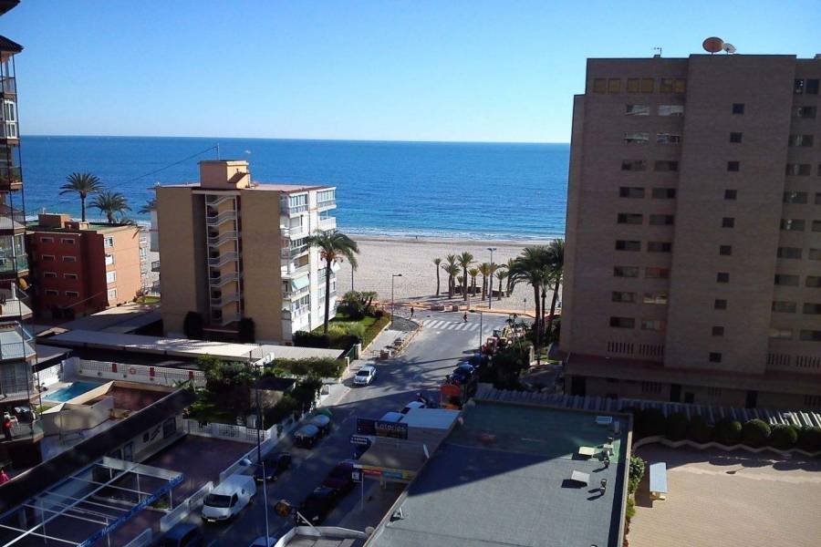 Benidorm,Alicante,España,1 BañoBathrooms,Apartamentos,39709