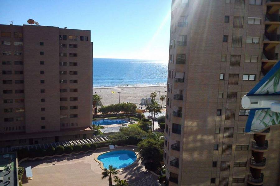 Benidorm,Alicante,España,1 BañoBathrooms,Apartamentos,39709