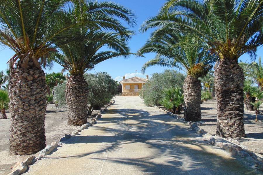 Guardamar del Segura,Alicante,España,1 BañoBathrooms,Casas,39855