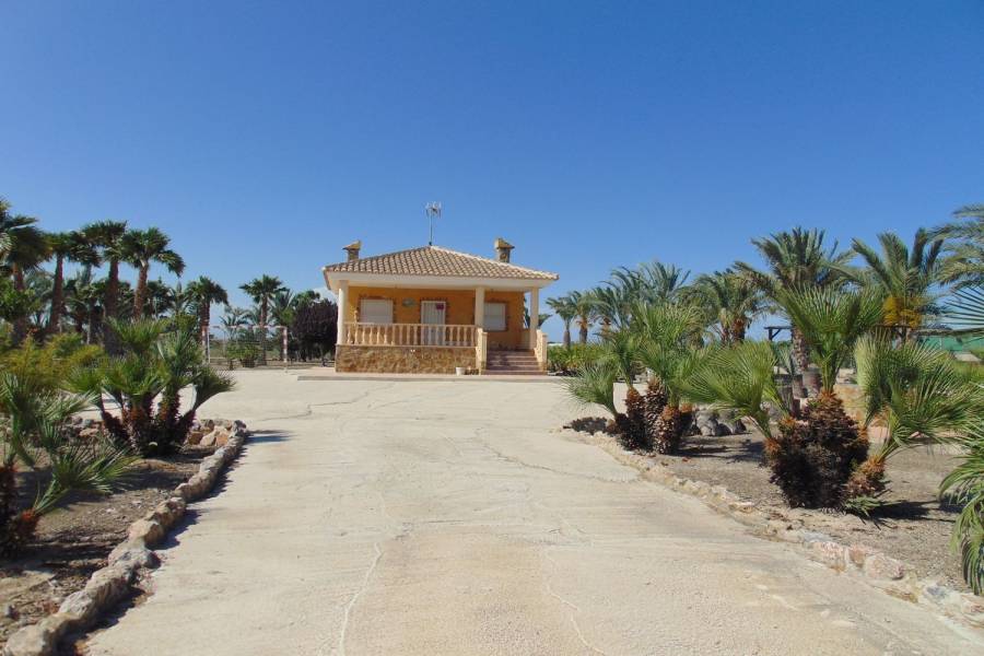 Guardamar del Segura,Alicante,España,1 BañoBathrooms,Casas,39855