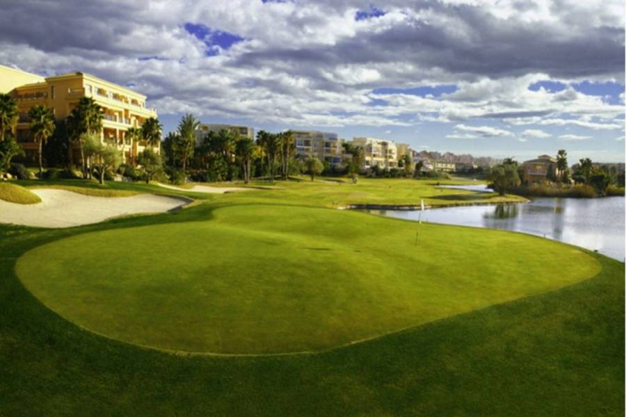 Alicante,Alicante,España,Lotes-Terrenos,39872