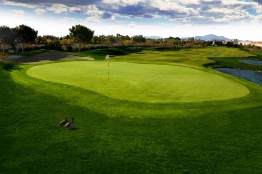 Alicante,Alicante,España,Lotes-Terrenos,39872