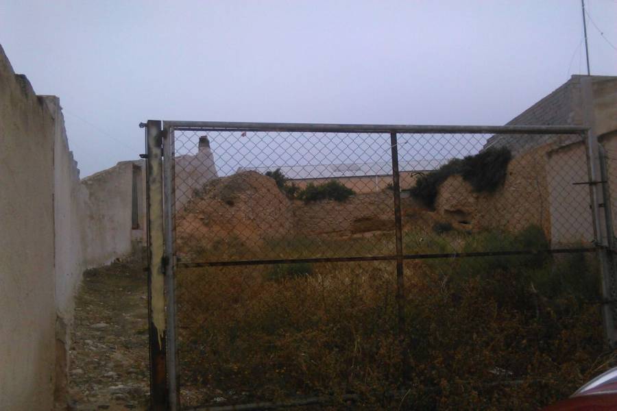 Crevillente,Alicante,España,Lotes-Terrenos,39873