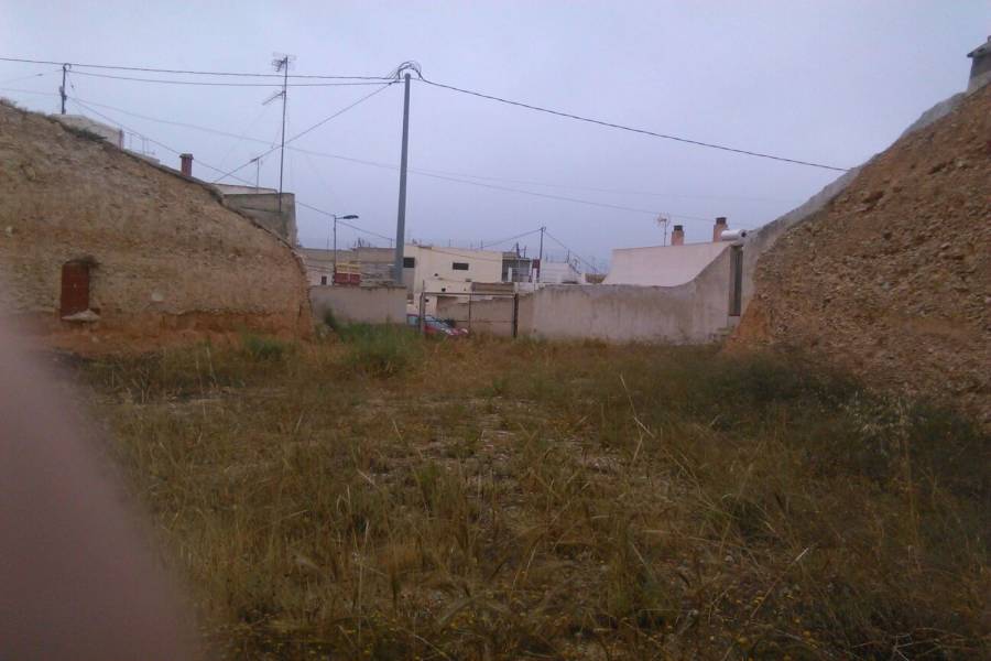 Crevillente,Alicante,España,Lotes-Terrenos,39873