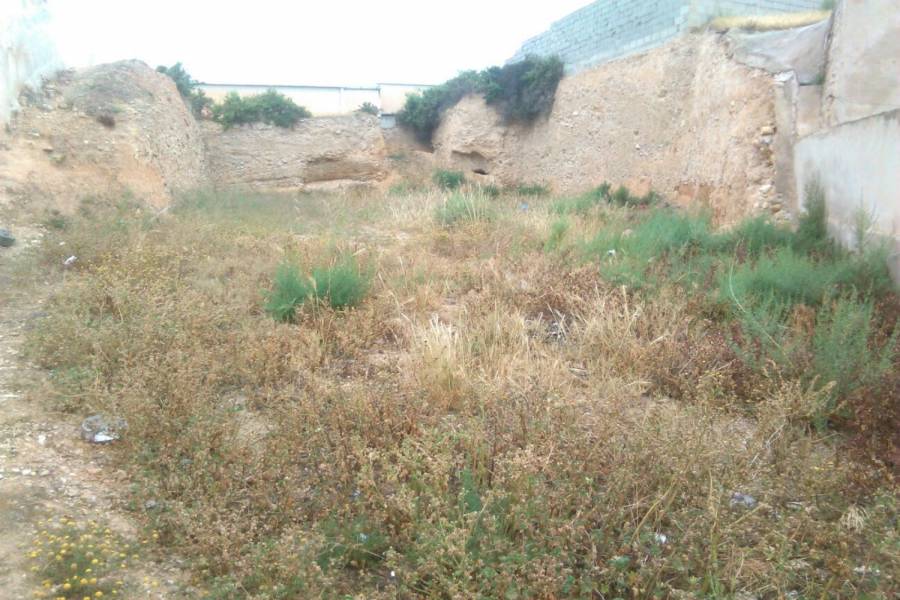 Crevillente,Alicante,España,Lotes-Terrenos,39873