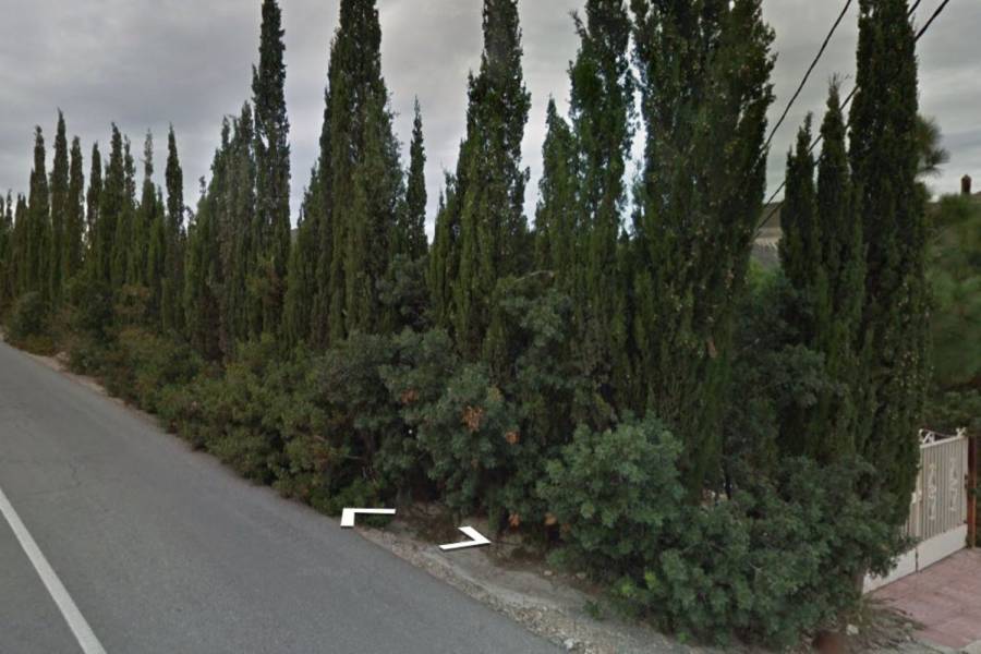 Torrevieja,Alicante,España,Lotes-Terrenos,39891