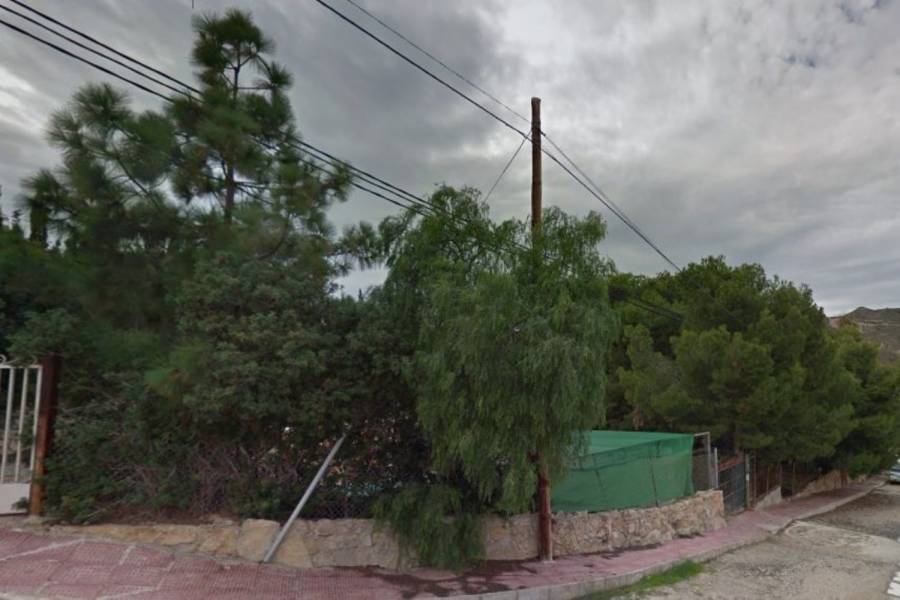 Torrevieja,Alicante,España,Lotes-Terrenos,39891