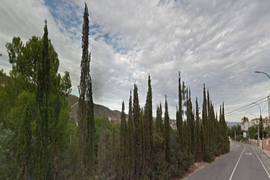 Torrevieja,Alicante,España,Lotes-Terrenos,39891