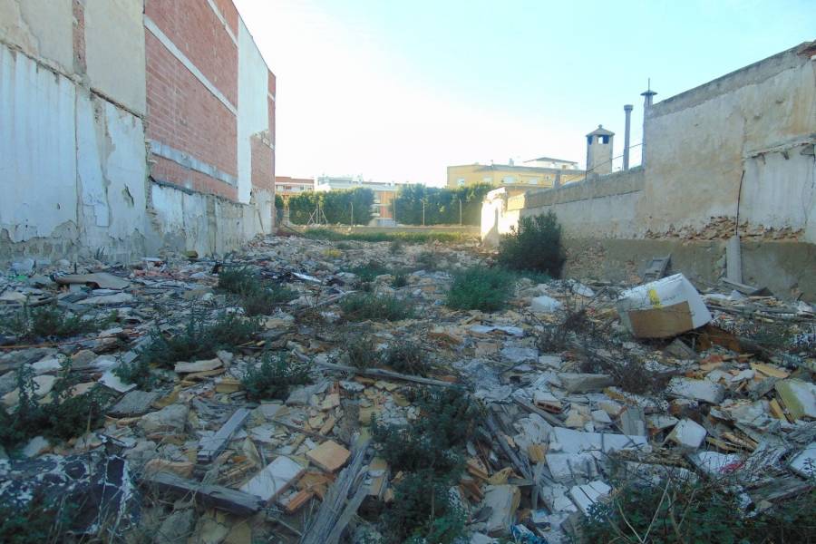 Formentera del Segura,Alicante,España,Lotes-Terrenos,39916