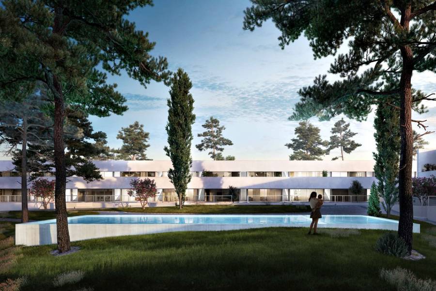 Torrevieja,Alicante,España,2 Bedrooms Bedrooms,2 BathroomsBathrooms,Apartamentos,40135