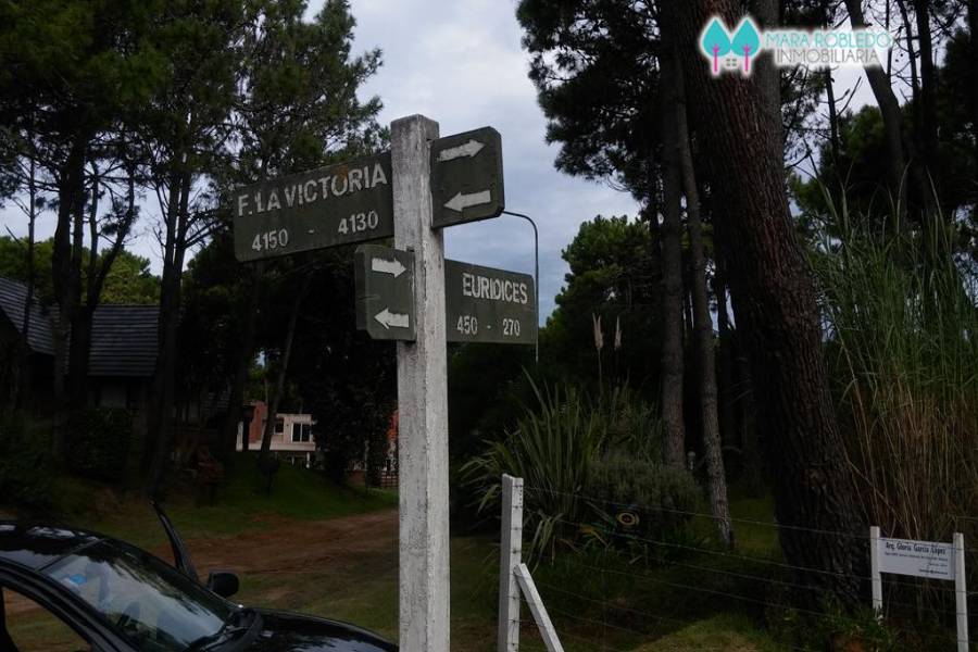 Pinamar,Buenos Aires,Argentina,3 Bedrooms Bedrooms,3 BathroomsBathrooms,Casas,victoria y euridice,4456