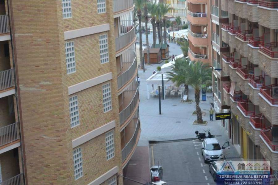 Torrevieja,Alicante,España,3 Bedrooms Bedrooms,2 BathroomsBathrooms,Apartamentos,40201