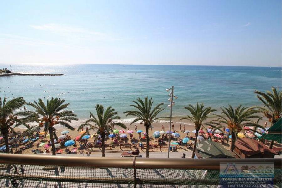 Torrevieja,Alicante,España,3 Bedrooms Bedrooms,2 BathroomsBathrooms,Apartamentos,40255