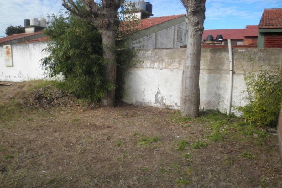 Las Toninas,Buenos Aires,Argentina,2 Bedrooms Bedrooms,1 BañoBathrooms,Apartamentos,AV 7,40505