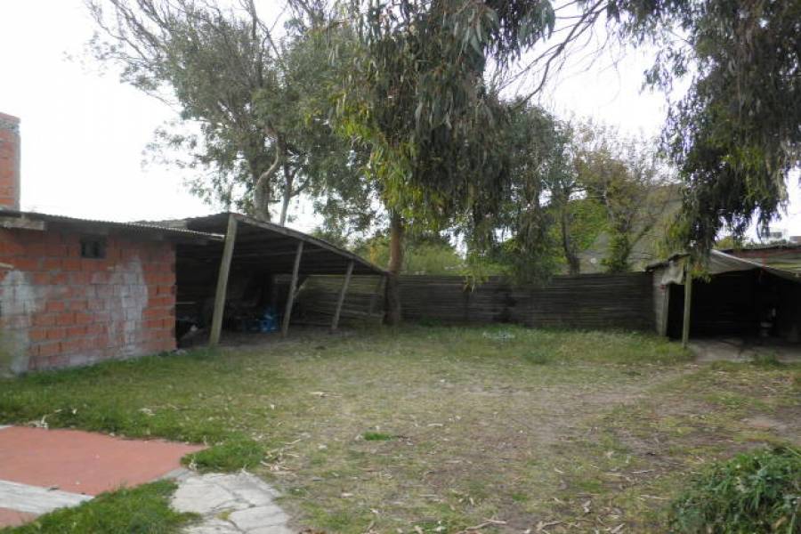 Las Toninas,Buenos Aires,Argentina,2 Bedrooms Bedrooms,1 BañoBathrooms,Duplex-Triplex,18,40714