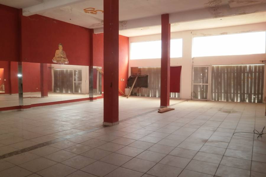 Santa Teresita, Buenos Aires, Argentina, ,2 BathroomsBathrooms,Locales,Venta,34,40748
