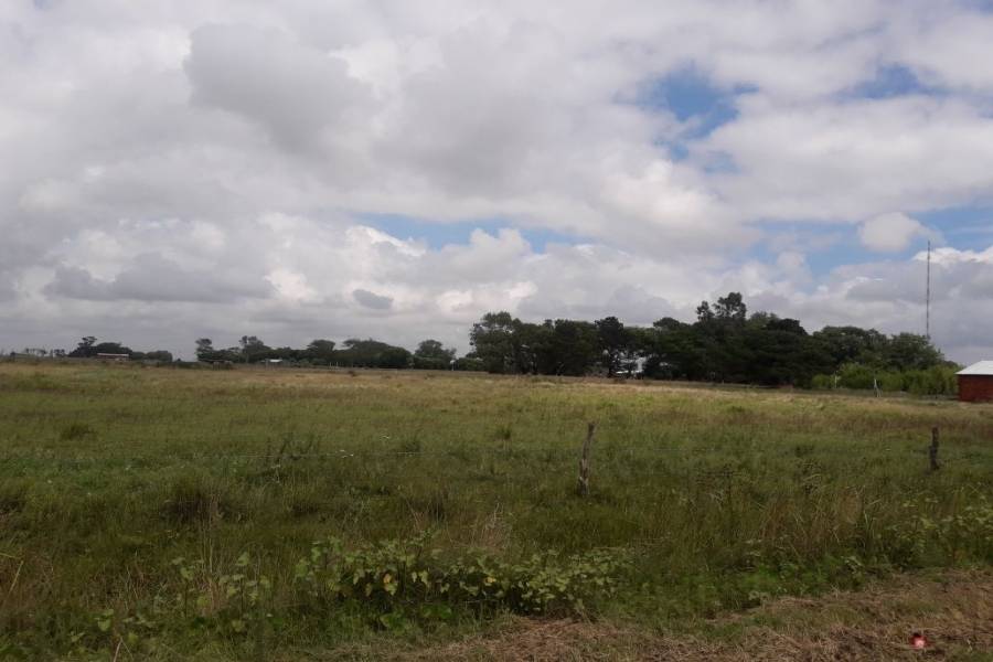 Mar de Ajo, Buenos Aires, Argentina, ,Lotes-Terrenos,Venta,CRUCERO GRAL BELGRANO ,40787