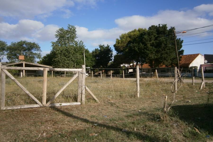 Santa Teresita, Buenos Aires, Argentina, ,Lotes-Terrenos,Venta,46,40791