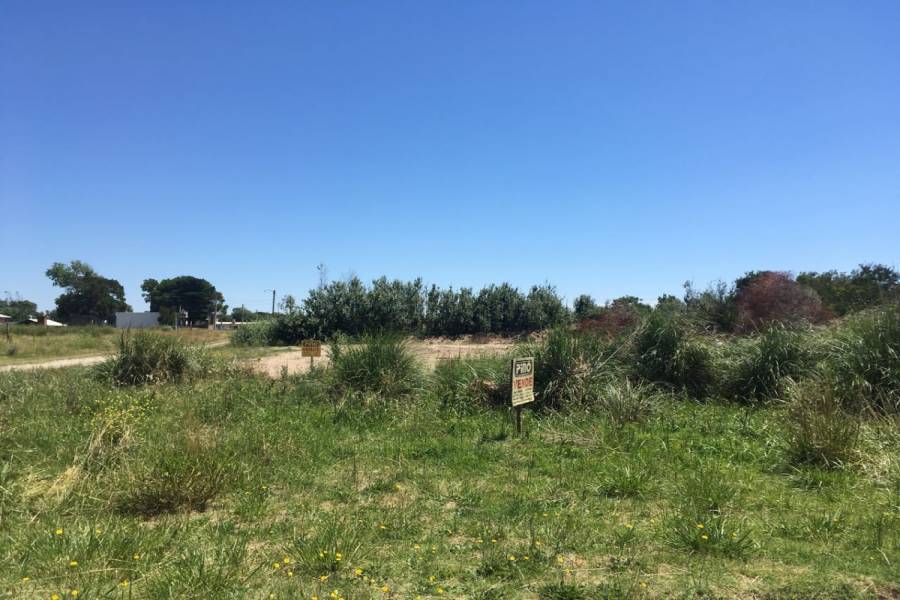 Las Toninas, Buenos Aires, Argentina, ,Lotes-Terrenos,Venta,24,40792