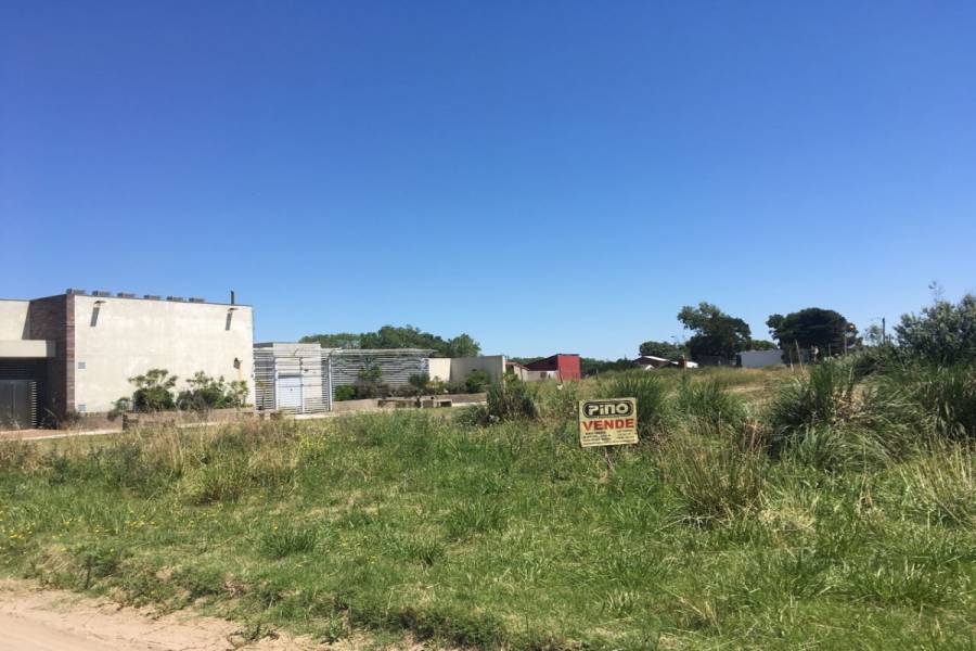 Las Toninas, Buenos Aires, Argentina, ,Lotes-Terrenos,Venta,24,40792