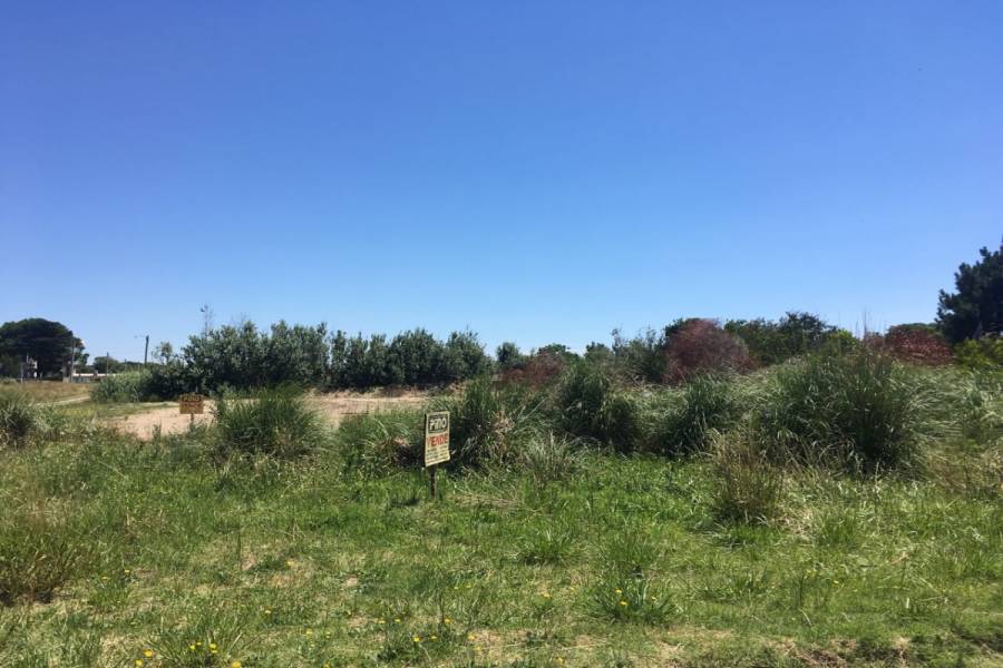 Las Toninas, Buenos Aires, Argentina, ,Lotes-Terrenos,Venta,24,40792