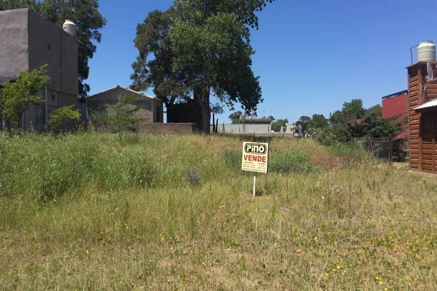 Las Toninas, Buenos Aires, Argentina, ,Lotes-Terrenos,Venta,22,40798