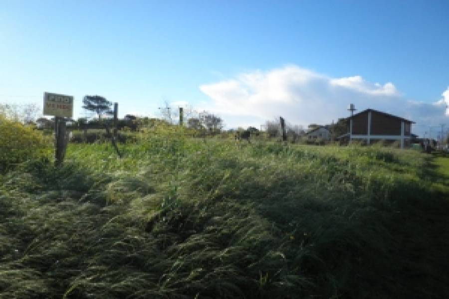 Las Toninas, Buenos Aires, Argentina, ,Lotes-Terrenos,Venta,COSTA CHICA - AVENIDA 7,40806