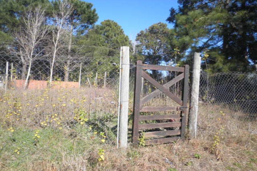Las Toninas, Buenos Aires, Argentina, ,Lotes-Terrenos,Venta,COSTA CHICA- PEATONAL 0,40814