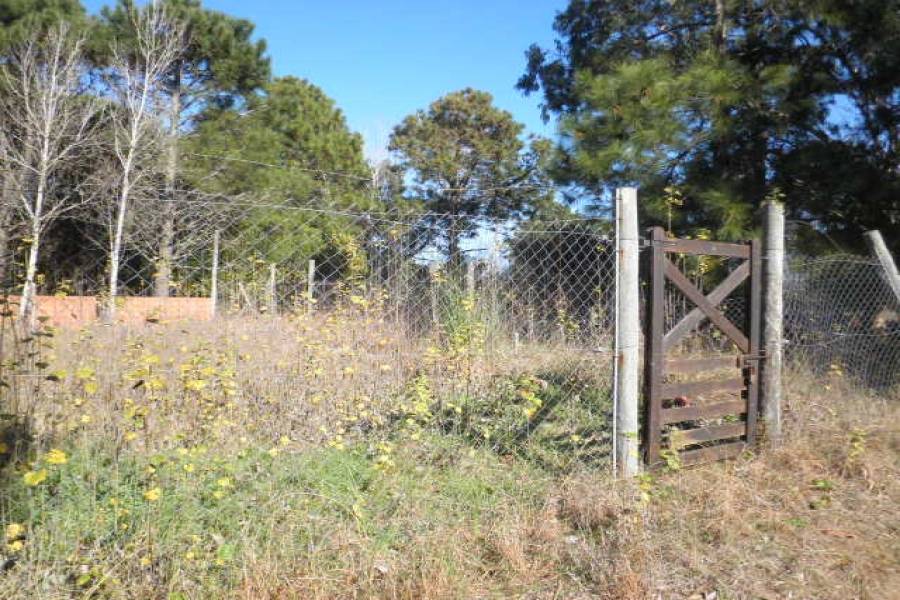 Las Toninas, Buenos Aires, Argentina, ,Lotes-Terrenos,Venta,COSTA CHICA- PEATONAL 0,40814