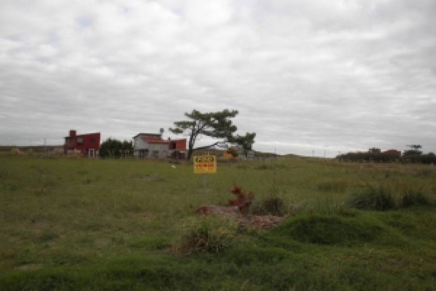Las Toninas, Buenos Aires, Argentina, ,Lotes-Terrenos,Venta,24,40818