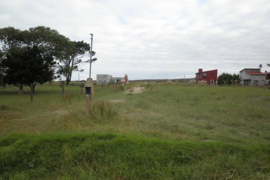 Las Toninas, Buenos Aires, Argentina, ,Lotes-Terrenos,Venta,24,40818