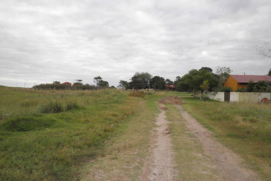Las Toninas, Buenos Aires, Argentina, ,Lotes-Terrenos,Venta,24,40818