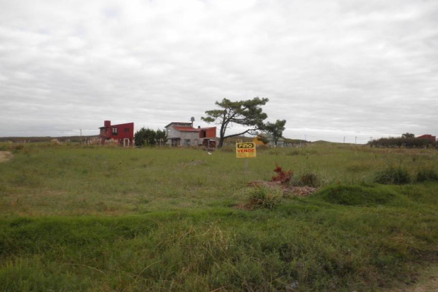 Las Toninas, Buenos Aires, Argentina, ,Lotes-Terrenos,Venta,24,40818