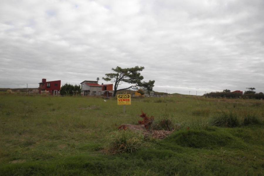 Las Toninas, Buenos Aires, Argentina, ,Lotes-Terrenos,Venta,24,40818