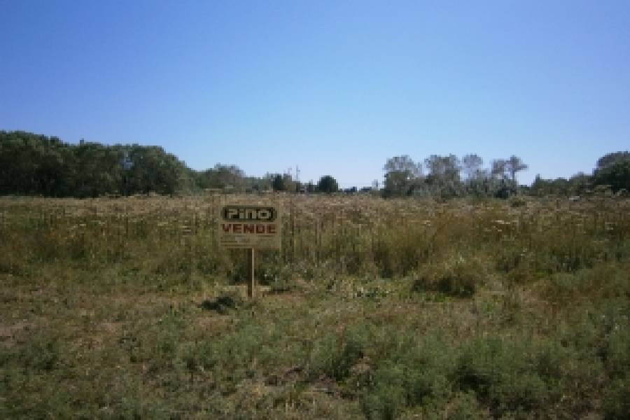 Costa Del Este, Buenos Aires, Argentina, ,Lotes-Terrenos,Venta,LOS PINOS,40827
