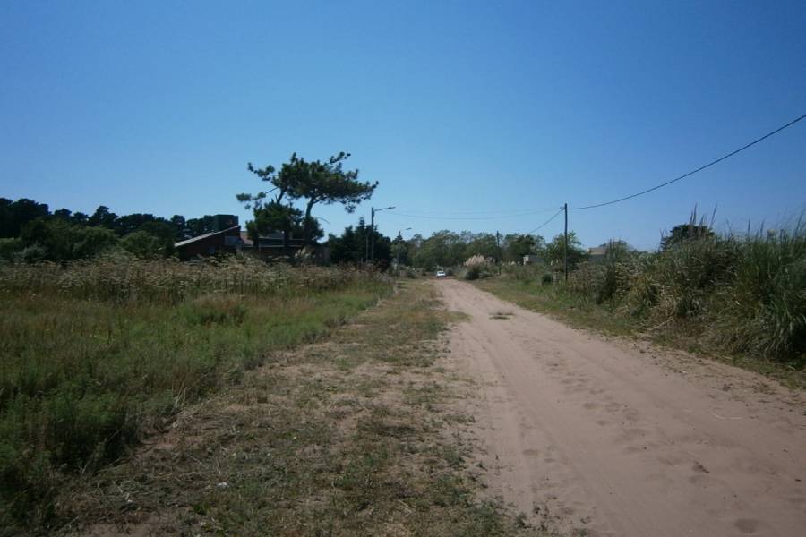 Costa Del Este, Buenos Aires, Argentina, ,Lotes-Terrenos,Venta,LOS PINOS,40827