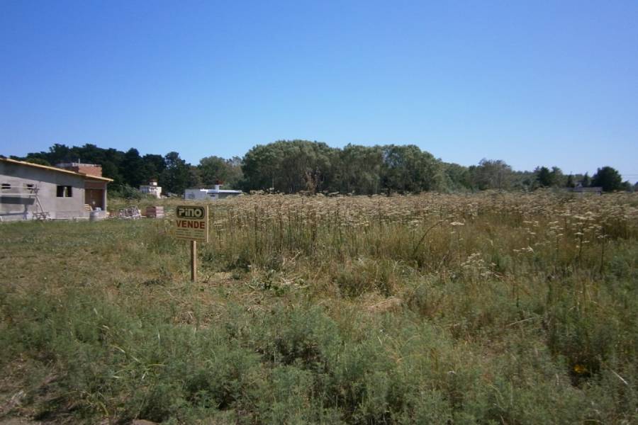 Costa Del Este, Buenos Aires, Argentina, ,Lotes-Terrenos,Venta,LOS PINOS,40827