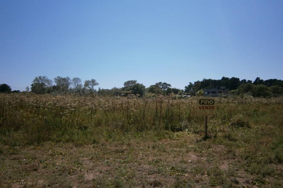 Costa Del Este, Buenos Aires, Argentina, ,Lotes-Terrenos,Venta,LOS PINOS,40827