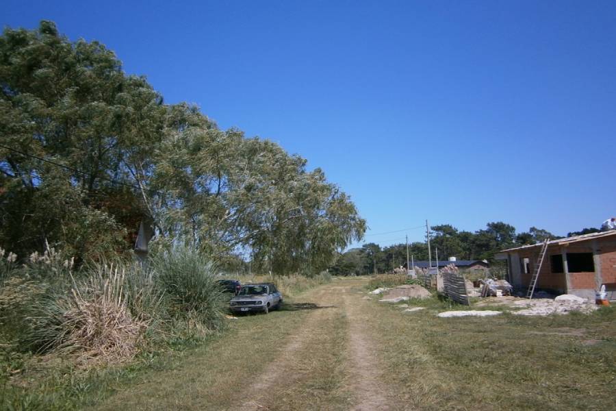 Costa Del Este, Buenos Aires, Argentina, ,Lotes-Terrenos,Venta,LOS PINOS,40827
