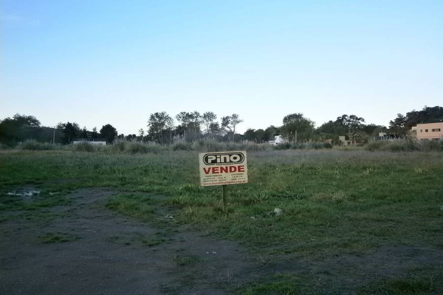 Costa Del Este, Buenos Aires, Argentina, ,Lotes-Terrenos,Venta,LOS PINOS,40827